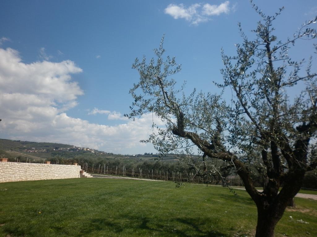 SantʼAmbrogio di ValpolicellaLa Piccola Mimosaアパートメント エクステリア 写真