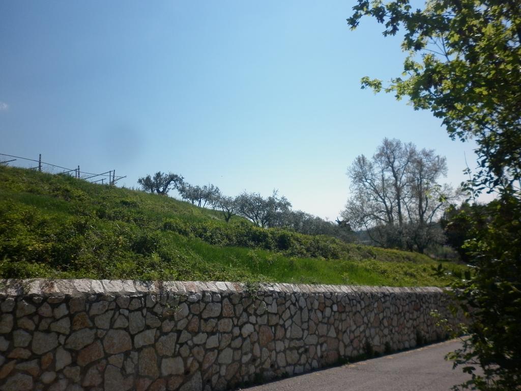 SantʼAmbrogio di ValpolicellaLa Piccola Mimosaアパートメント エクステリア 写真