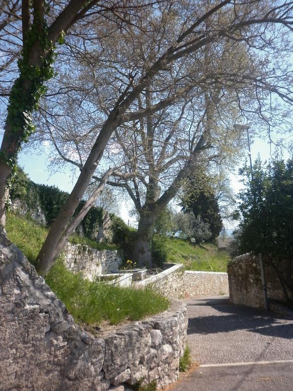SantʼAmbrogio di ValpolicellaLa Piccola Mimosaアパートメント エクステリア 写真